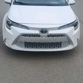 Toyota Corolla 2022