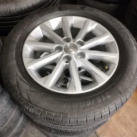 palta Kemri diska ARGINAL