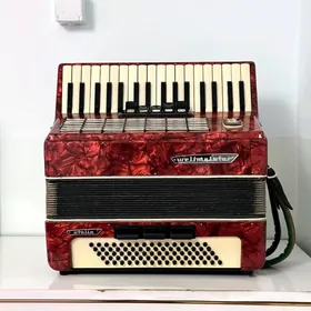 Akardion Akardeon Akkordeon