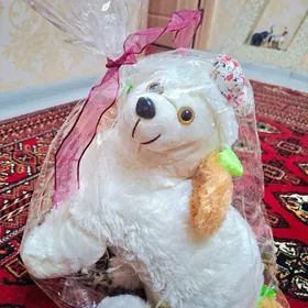 SOVGATLYGA GATY GOVY