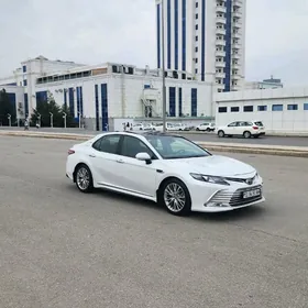 Toyota Camry 2019