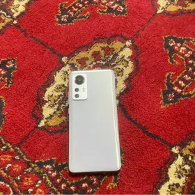 xiaomi 12 x
