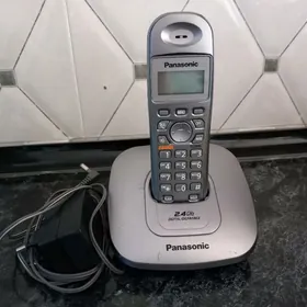 tazeje kan ulanylmady