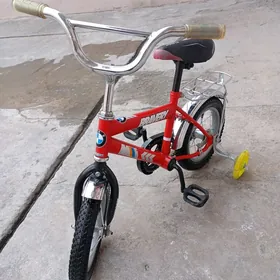 12 lik braweri velik