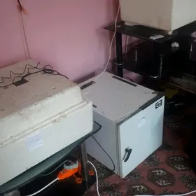 inkibator  zavaskoy   3 sany