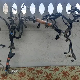 lexsuy 3'3 motor prowoda