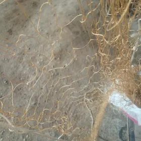 Сетка, инче ниткадан