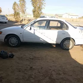 Toyota Corolla 1994