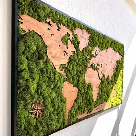 Карта мира из мха