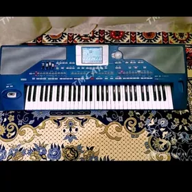 Korg pa 800 ram 256