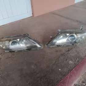 öküz kelle fara stopnik