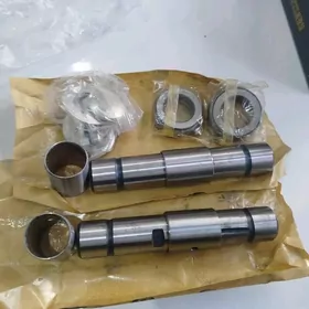 Forland skworniy pals