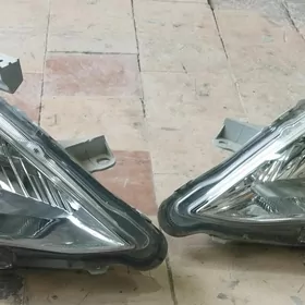 Okuz kelle fara 2010