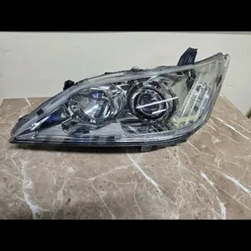 ES 10-12 chep fara original