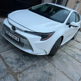 Toyota Corolla 2021
