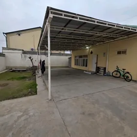 satlyk coganly 1nji svetafor