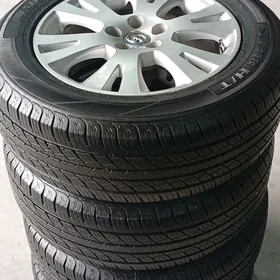 Siyena Disga Tekeri 17 lik Org