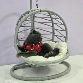 Кресло - качалка