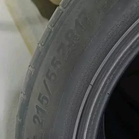 teker pokrişka saylun