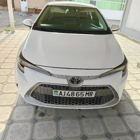 Toyota Corolla 2021