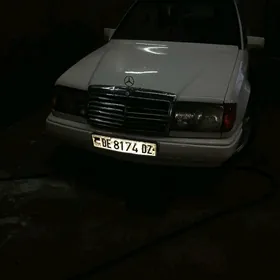 Mercedes-Benz W123 1988