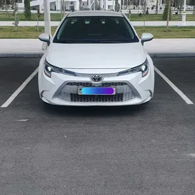 Toyota Corolla 2022