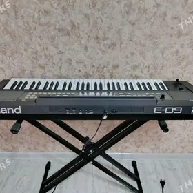 Roland E 9 blok ritim