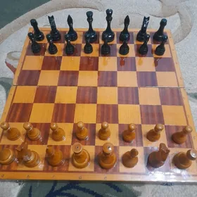 Шахматы СССР