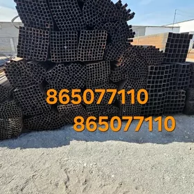 profil turba pilimut