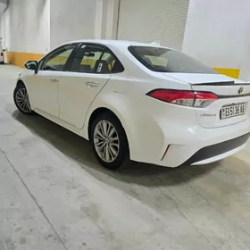 Toyota Corolla 2021