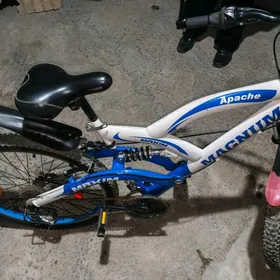 ВЕЛИК ЯПОНЦКИЙ