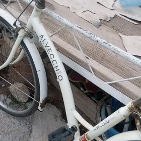 ЯПОНСКИЦ ВЕЛИК