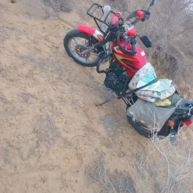 Fekon FK200-14G 2020