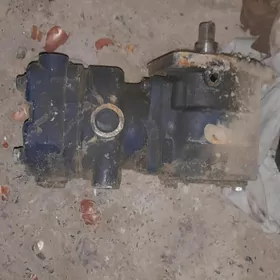 şahman we pagruşik