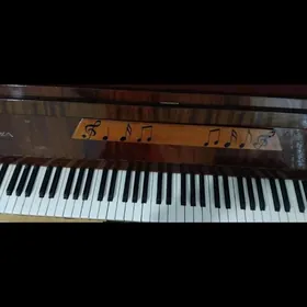 pionina / пианино