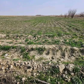 mellek yermellek yer