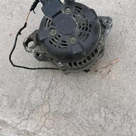 Dinamo Genoratyr carolla