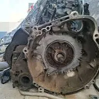 karopka 2.4 okuz kelle 13 fish