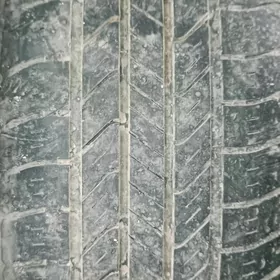 17lik teker pokriska