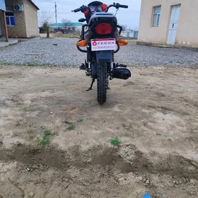 Fekon FK200-14G 2023