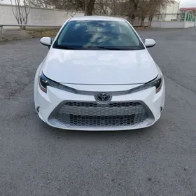 Toyota Camry 2020