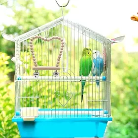 popugay sowgatlyk guslar