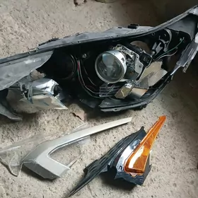 Forte fara zapcaslyk