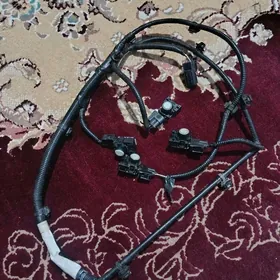 Partronik  taýota Argiñal