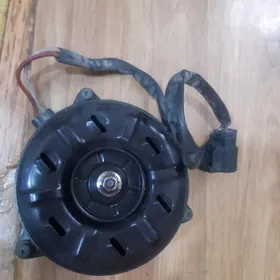 Sienna 2016 wilterýator matory