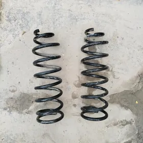 corolla morda purjin