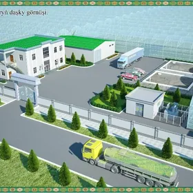 3 gektar onumcilik ammar