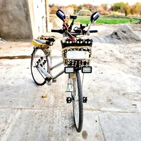 Bridgestone 27 Welesoped