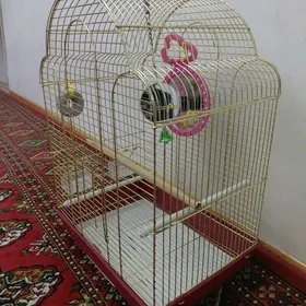 Papugay kletka setka