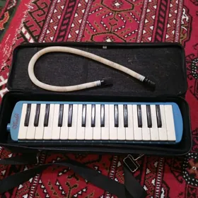 музыкальный инструмент